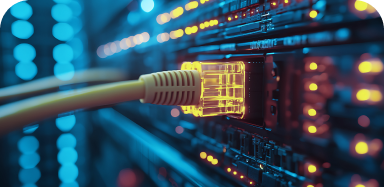 Ethernet Access Edge Light